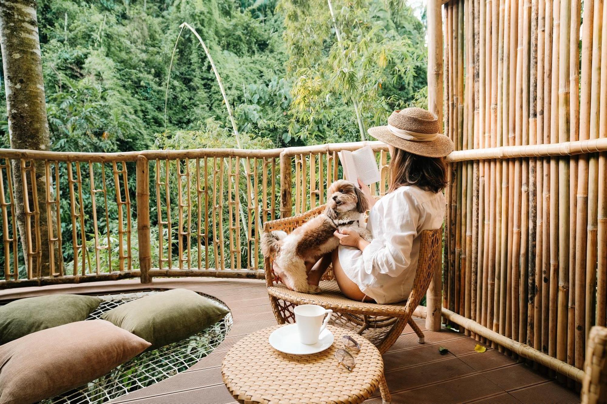 הוילה Balamban Treehouse De Valentine מראה חיצוני תמונה